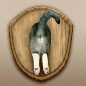 Meet your Posher, Alvaro